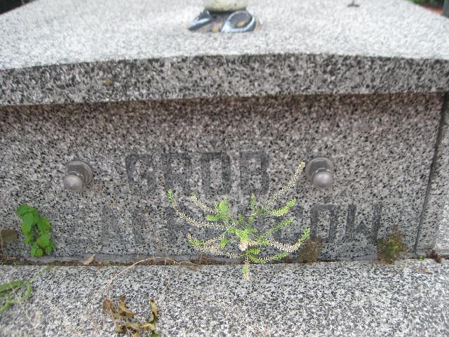 Zdjęcie grobu