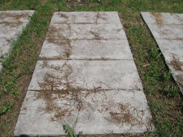 Artur Toczyski 1937 Radom prawosławny - Grobonet - Wyszukiwarka osób pochowanych